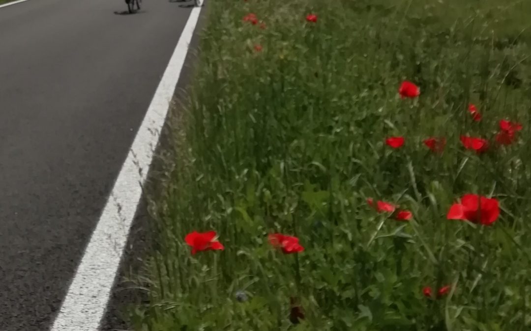 2023/05/21 – III° Memorial Valter Zucchi e biciclettata a Pieve di Cento
