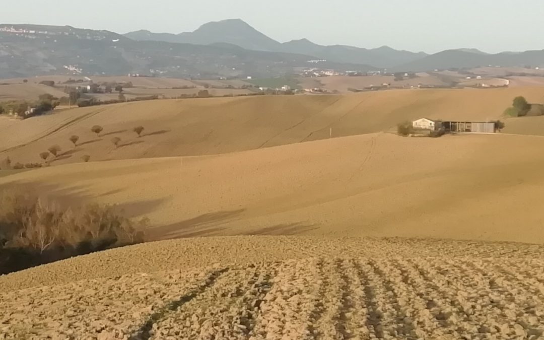 2023/10/09 – Scarponi day-after . Da Monte Armato(Filottrano), Cingoli, S. Severino Marche, Monte Armato