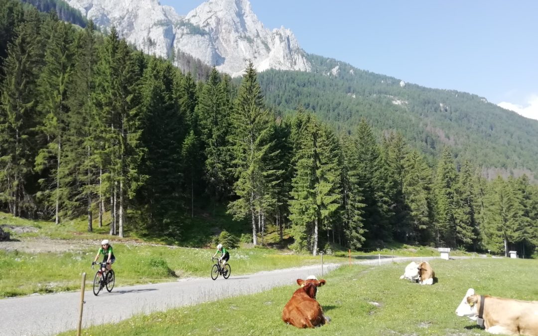 2023/06/19 – Gita Estiva val di Fassa – da Pozza di Fassa, Val S. Nicolò, Malga Munciogn (Monzoni)