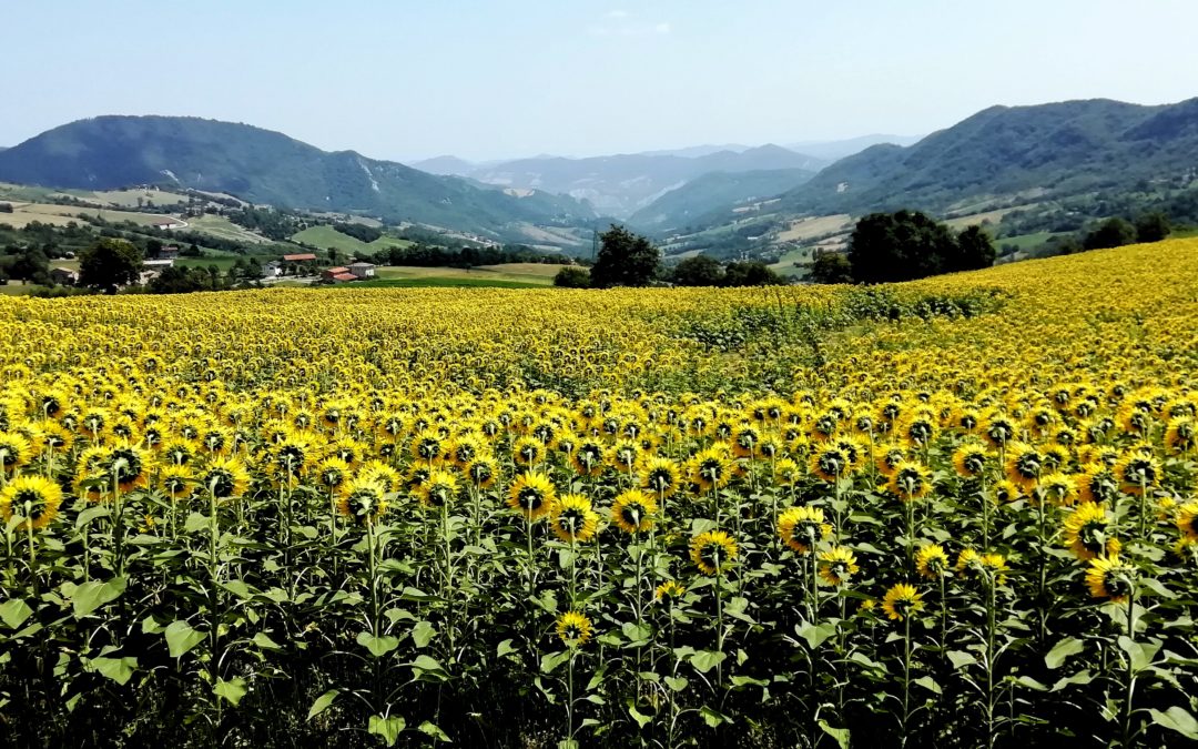 2023/07/23 – Pedalini a Grizzana, Cereglio, Cà Bortolani